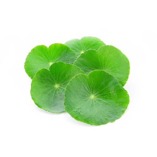 CENTELLA T.M. COMPOSTA 100 ml