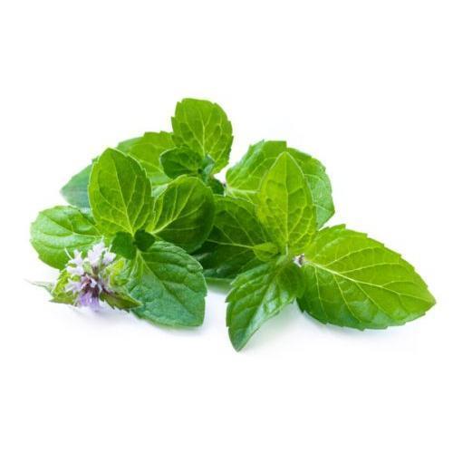 COLLUTORIO CLOREXIDINA 0,20% 200 gr AROMA MENTA