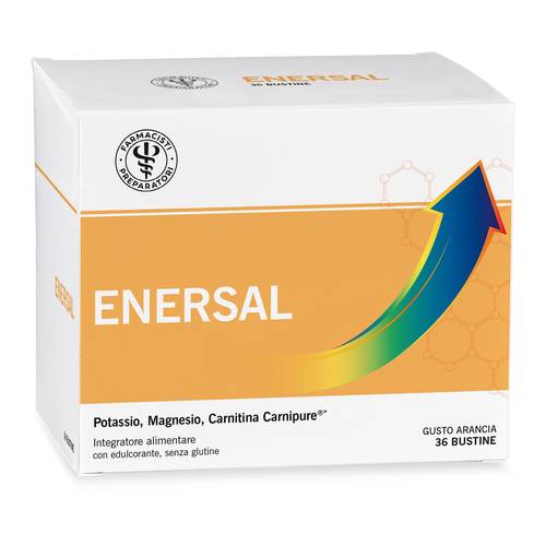 LFP ENERSAL 36BUST