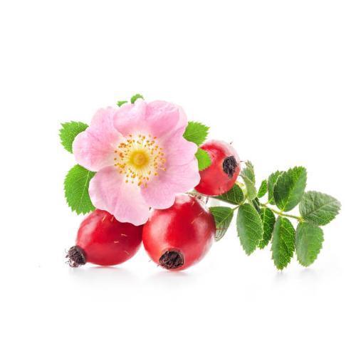 ROSA CANINA 45 CAPSULE 